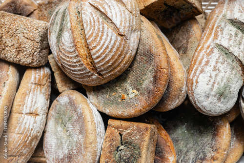 Stacked Moldy Bread Loaves in Closeup
