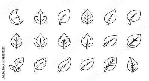 Simple black and white line art collection of various leaf shapes representing different tree species and garden plants.