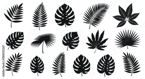 Collection of black silhouettes of various tropical palm and monstera leaf shapes on a plain white background.