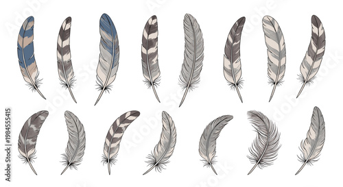 Detailed collection of bird feathers with various natural patterns and colors for tribal, boho, and wildlife decoration themes.