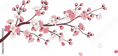 Beautiful cherry blossom branch with falling petals, a delicate symbol of spring and renewal