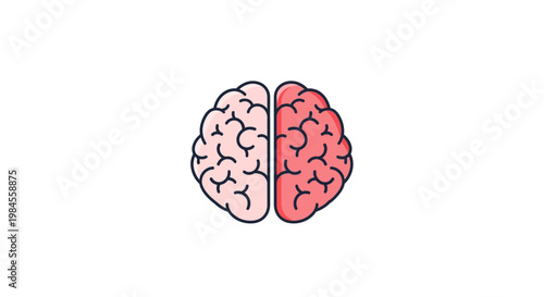 Illustration of a human brain with contrasting colors depicting brain hemispheres
