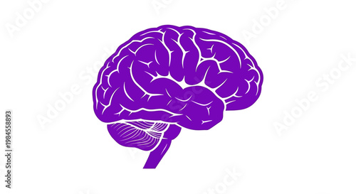 Illustration of a Purple Brain Depicting Human Thought and Cognitive Function