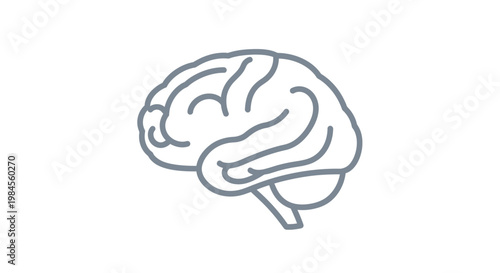 Minimalistic brain illustration, representing cognitive functions and mental processes in a visual