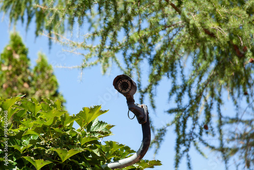 Video surveillance camera on green tree background