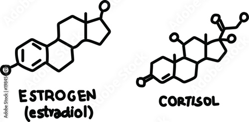 Scientific Black Outline Illustration of Estrogen Estradiol and Cortisol Hormone Chemical Structures for Medical and Biological Educational Use