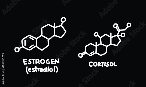 White Minimalist Chemical Structure of Estrogen and Cortisol Hormones on Black Background for Scientific and Medical Presentation Graphics