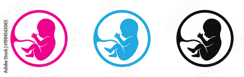 Fetal development icons in pink blue and black vector illustration