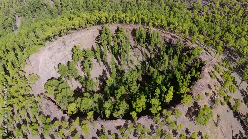 Aerial View of a Volcanic Crater Reclaimed by Forest Canopy; Botanical Succession and The Power of Nature, La Palma, Canary Islands, Spain