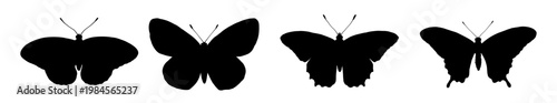 Butterfly silhouettes set, vector illustration