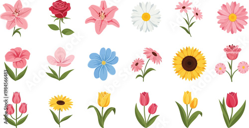 Colorful flowers including lilies roses tulips sunflowers daisies floral