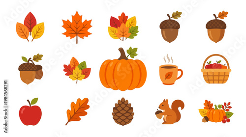 Autumn leaves and seasonal harvest icons.