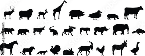 Large animal silhouette collection featuring mammals birds insects reptiles and fish icons isolated on white background, wildlife fauna illustration set for design education and branding