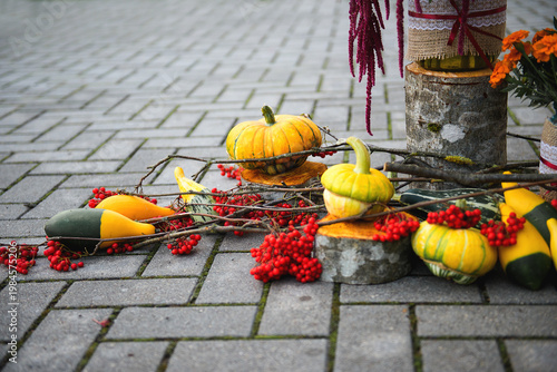Rustic Autumn Composition With Pumpkins And Natural Elements