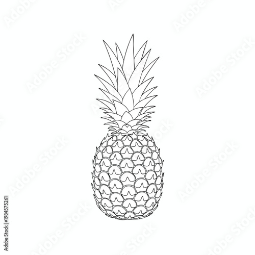 Elegant Black and White Outline of a Pineapple For Fresh Fruit and Healthy Lifestyle Themes