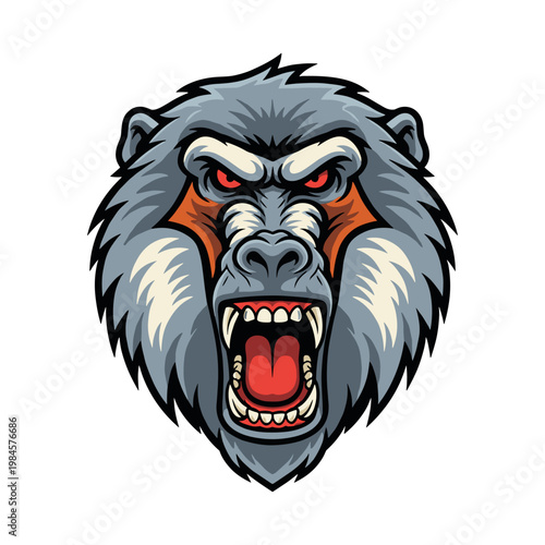 Angry gray gorilla with open mouth showing teeth aggressive
