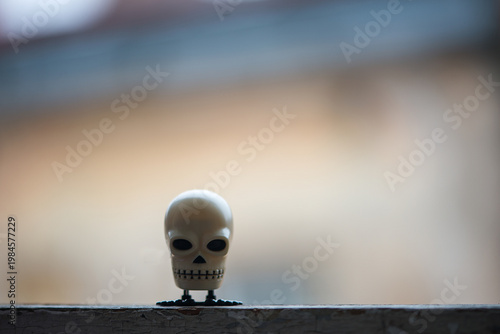 Minimal Skull Figure On Window With Soft Background Light