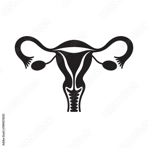 A simplified black silhouette illustration of a female reproductive system