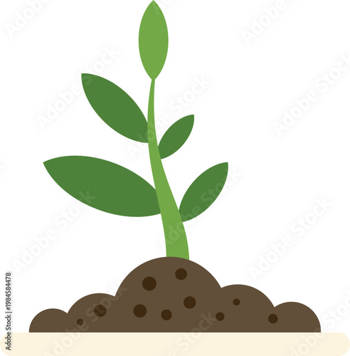 Young plant growing from a mound of fertile soil, symbolizing growth and new beginnings