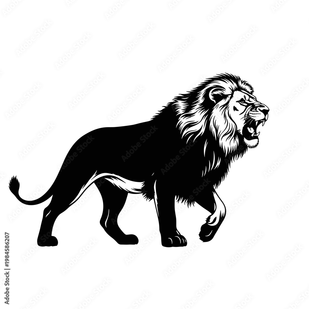 Obraz premium Powerful black and white roaring lion walking stylized illustration
