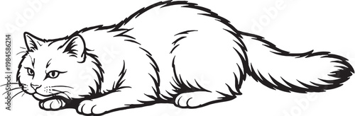 Fotografie Ragamuffin Cat Pouncing Crouch Line Art Black and White Vector Illustration
