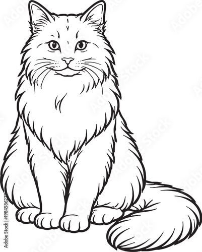 Konstfotografi Ragamuffin cat sitting alert line art, fluffy longhair cat front view outline il