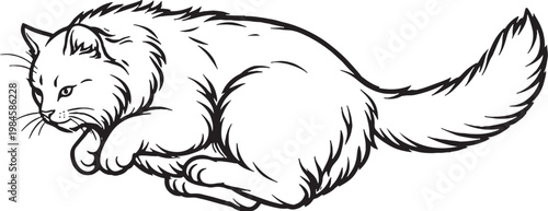 Ragamuffin cat mid air leap line art, fluffy longhair cat jumping pose outline illustration isolated