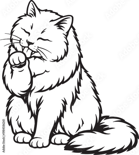 Bilde på lerret Ragamuffin Cat Grooming Paw Line Art Black and White Vector Illustration