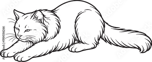 Ragamuffin cat kneading paws line art, fluffy longhair cat biscuit making pose outline illustration isolated