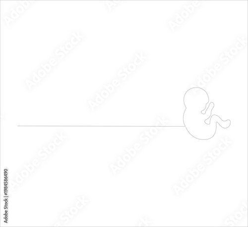 Continuous one line drawing of baby embryo in womb, minimalist fetus silhouette in mother stomach, gestational development concept, unborn child line art illustration