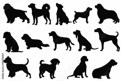 A collection of various dog breeds depicted in solid black shapes