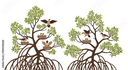 Illustration of Mangrove Trees with Birds and Nests