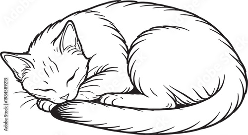 Obraz na plátně Chausie cat sleeping curled line art, athletic domestic cat curled sleeping pose