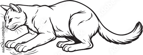 Chausie Cat Kneading Paws Line Art Black and White Vector Illustration