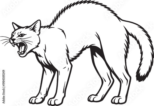 Chausie Cat Arching Back Hiss Line Art Black and White Vector Illustration