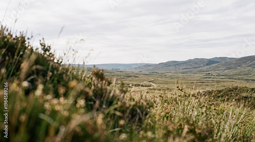 Blur Foreground with Clear Copy Space Background