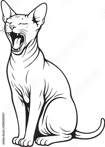 Sphynx cat yawning black and white line art hairless cat breed sitting illustration isolated