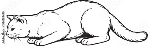 Chartreux cat pouncing crouch line art black and white vector isolated hunting cat illustration