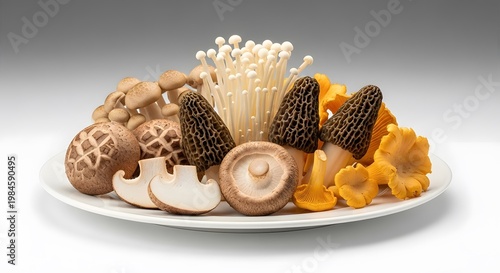 Variety of wild mushrooms displayed on a white plate
