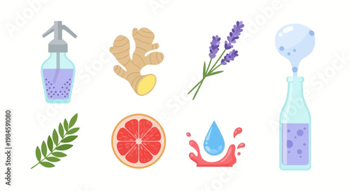 Collection of Natural Healing and Wellness Herbs and Remedies