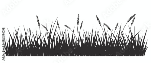 Grass Silhouette Border Vector – Natural Lawn Edge Black Botanical Design