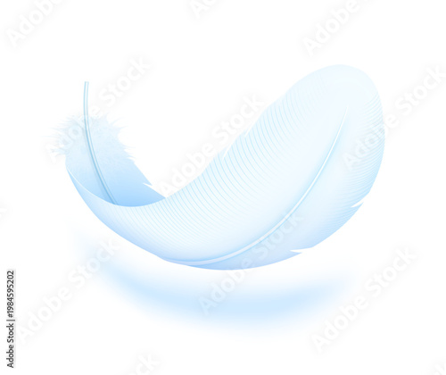 Bird feather mockup. Symbol for indicating that a product is lightweight, soft, gentle, hypoallergenic and etc. Hight realistic vector illustration isolated on white backgrounds. EPS10.