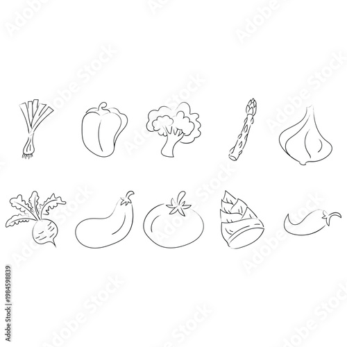 Simple Outline Handdrawn Vegetables Assortment Icon Illustration Collection Set