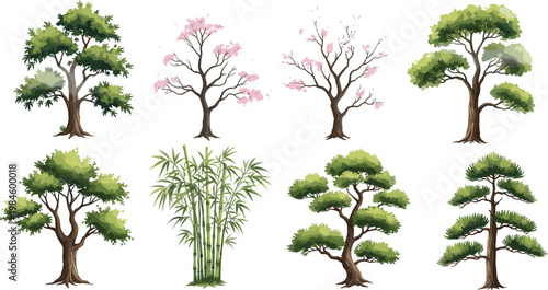 Bild auf Leinwand Hand drawn colorful tree collection vector including bamboo blossom and various