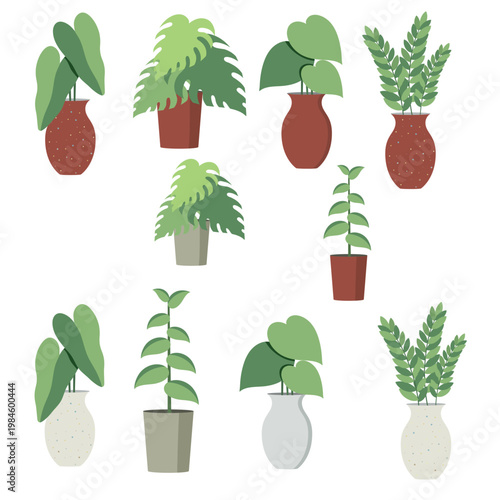 Set Indoor House Plants Collection in Pots with Modern Minimalist Home Decor Style