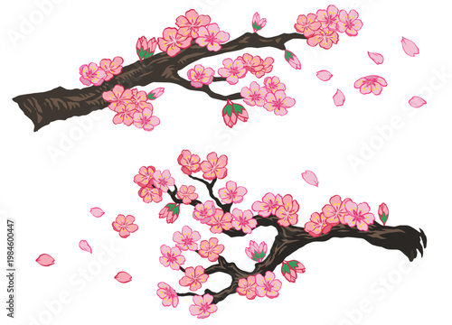 Cherry Blossom Colorful in Hand Drawn Set