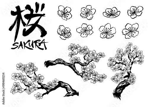 Set of Hand Drawn Black And White Sakura Flowers