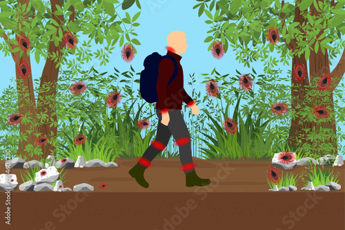 Flat illustration of hiker with backpack walking on forest trail with ticks hiding in tall grass and bushes. Tick danger awareness concept during outdoor nature walk.