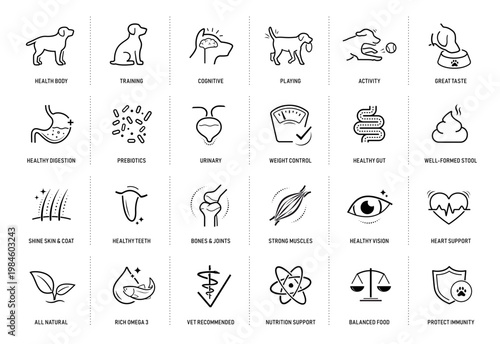 A set of icons for cat. The components of a dog's health. The outline icons are well scalable and editable. Contrasting elements are good for different backgrounds. EPS10.