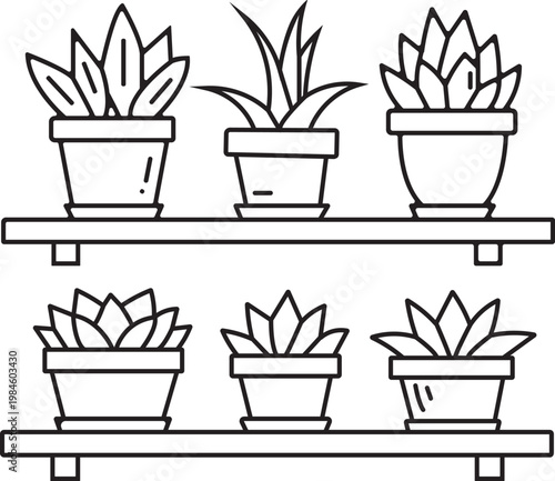 Line art illustration of potted plants on a two tiered shelf minimalist botanical decor